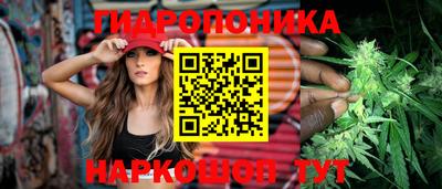 ГАЛЛЮЦИНОГЕННЫЕ ГРИБЫ Гусиноозёрск