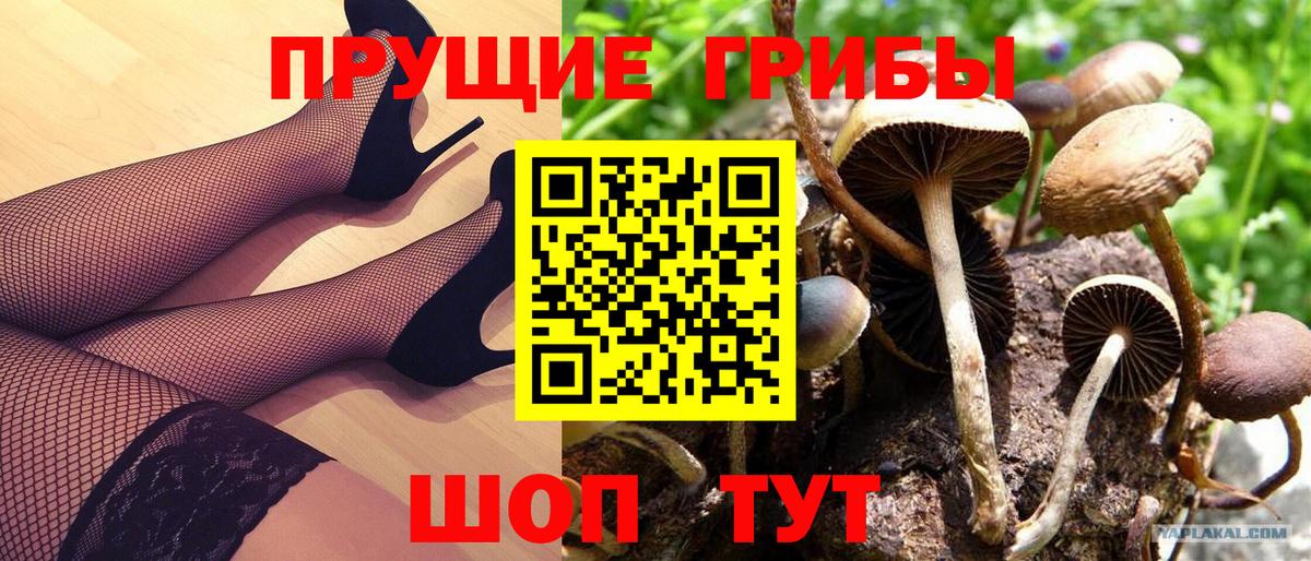 Галлюциногенные грибы мицелий Медногорск