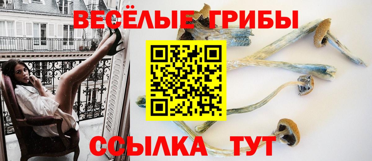 Медногорск  Псилоцибиновые грибы прущие грибы  Вход с VPN 